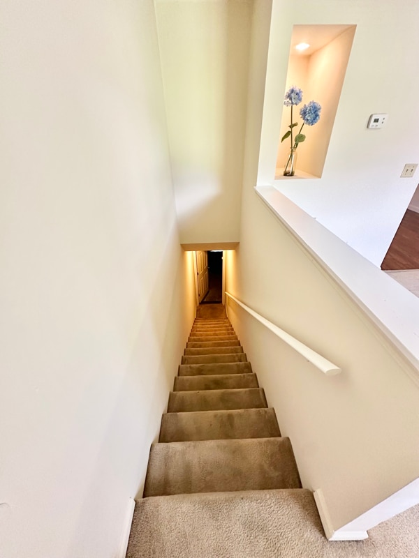 805 Old Gray Station Rd in Johnson City, TN - Building Photo - Building Photo