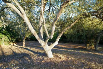 10201 Shane Dr in Corpus Christi, TX - Building Photo - Building Photo