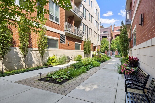 1258 W Jackson Blvd in Chicago, IL - Building Photo - Building Photo