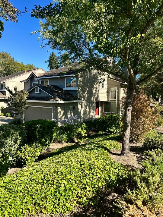 11501 Treeline Pl in Dublin, CA - Building Photo