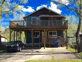 2509 Wheeler Ave in Colorado Springs, CO - Building Photo