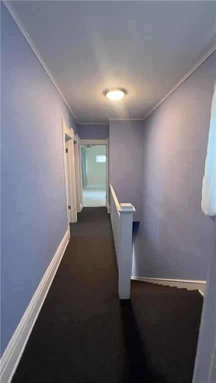 523 Tracy Ave in Kansas City, MO - Building Photo - Building Photo