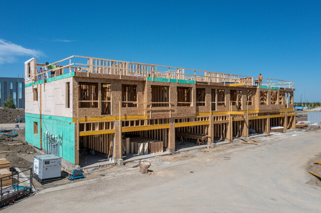 Essential Seton Townhomes in Calgary, AB - Building Photo - Building Photo