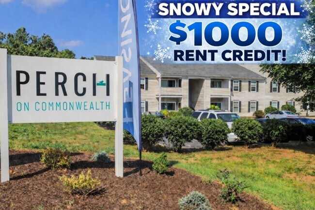 The Perch on Commonwealth