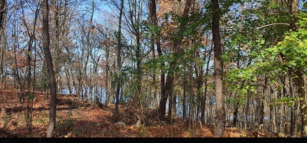 38 Roe Pl in Florida, NY - Building Photo - Building Photo