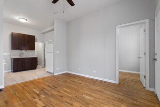 1532 W 18th Pl in Chicago, IL - Building Photo - Building Photo