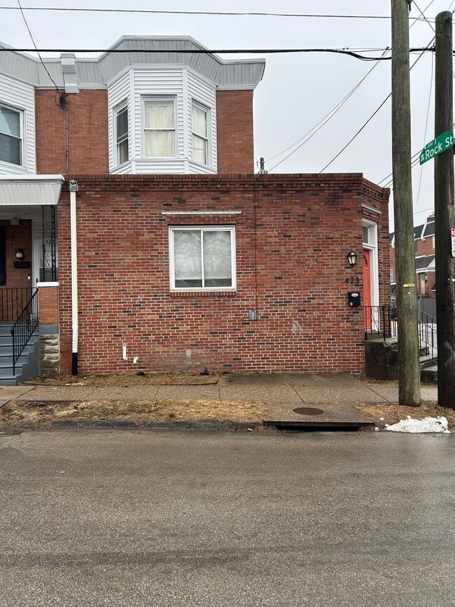 423 Righter St in Philadelphia, PA - Building Photo - Building Photo