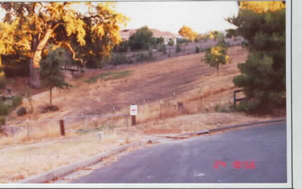 60 Hagen Oaks Ct in Alamo, CA - Building Photo