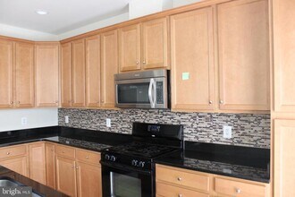 43579 Wheat Berry Terrace in Chantilly, VA - Building Photo - Building Photo