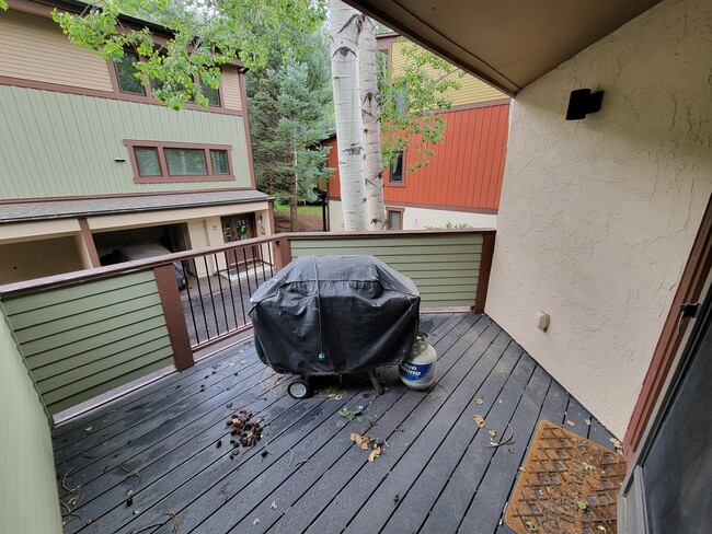 2540 Kinnikinnick Rd in Vail, CO - Building Photo - Building Photo