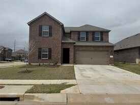 10101 Sunnyview Ln in Aubrey, TX - Building Photo