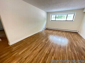 66 Homer Ave in Cambridge, MA - Building Photo - Building Photo