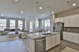 17218 Olive Blossom Ct in Shenandoah, TX - Building Photo