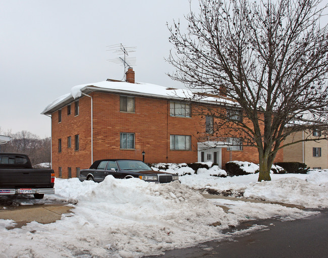 482 Treeside Dr in Akron, OH - Foto de edificio - Building Photo