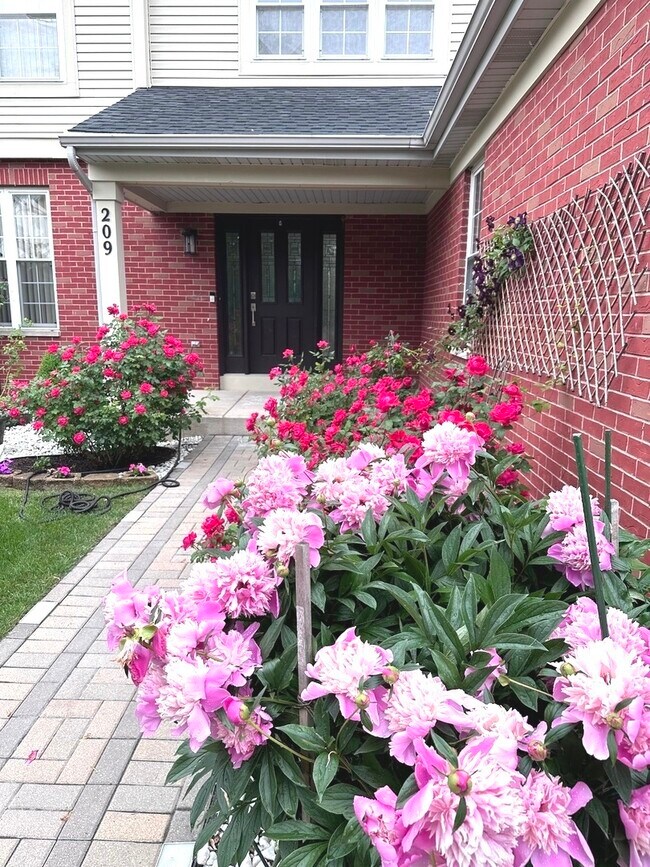 209 S Pleasant Rd in Lake Zurich, IL - Building Photo - Building Photo