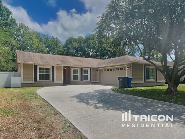 17519 Willow Pond Dr in Lutz, FL - Building Photo - Building Photo