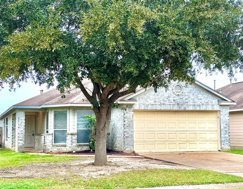 20230 Ricewood Village Trail in Katy, TX - Building Photo