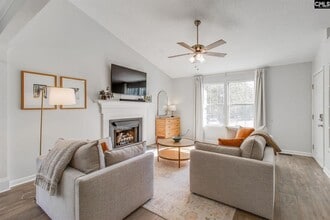 213 Firebridge Ct in Chapin, SC - Building Photo - Building Photo