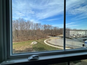 13815 Tender Dr in Carmel, IN - Foto de edificio - Building Photo