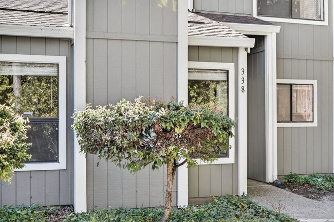 property at 338 Scottsdale Rd