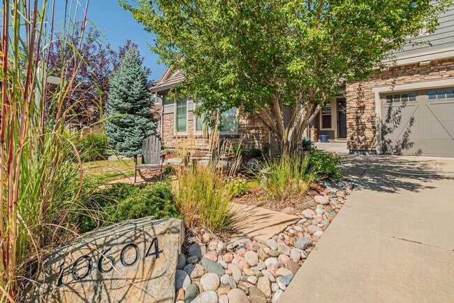 10604 Star Thistle Ct in Littleton, CO - Building Photo - Building Photo