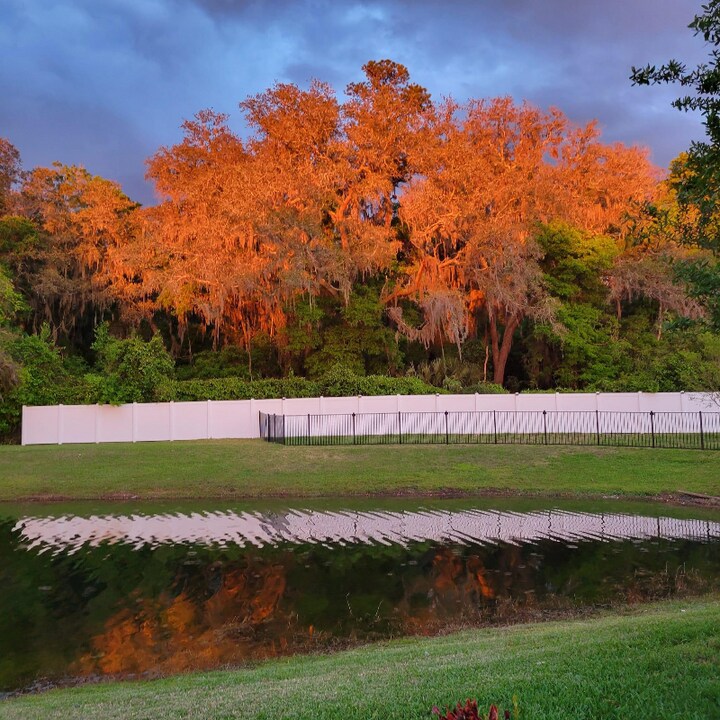 11655 Golden Lake Ln in Jacksonville, FL - Building Photo