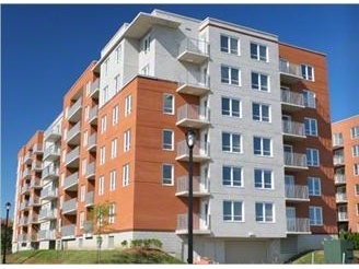Brooklyn Apartments in Brooklyn, NY - Building Photo