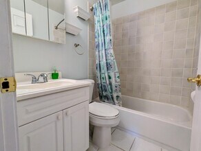 159 E Mill St in Wauconda, IL - Building Photo - Building Photo