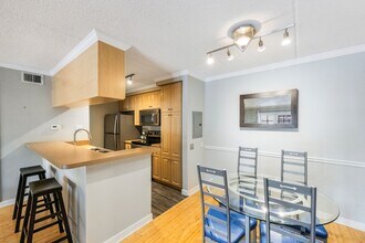 5306 Santa Rosa Ct, Unit 242 in Tampa, FL - Building Photo - Building Photo