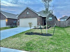 6313 Barrington Cliff Trl in Porter, TX - Building Photo