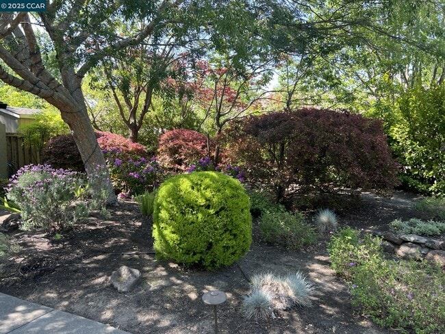 42 Horseshoe Ct in Walnut Creek, CA - Building Photo - Building Photo