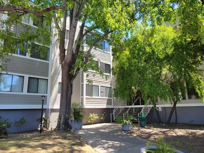 property at 240 N Bayshore Blvd