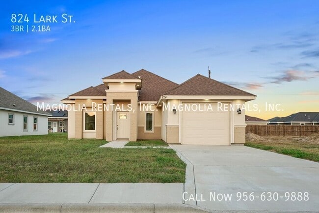 824 Lark St in Alamo, TX - Building Photo - Building Photo