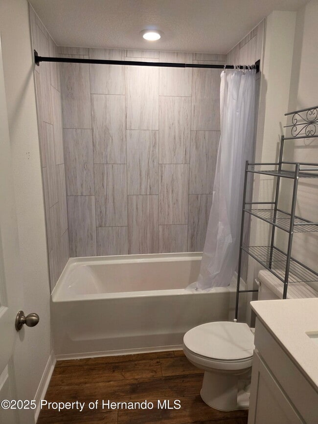 29824 Fedora Cir in Brooksville, FL - Building Photo - Building Photo