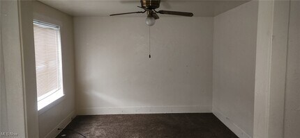 3941 Riley Ave in Struthers, OH - Building Photo - Building Photo