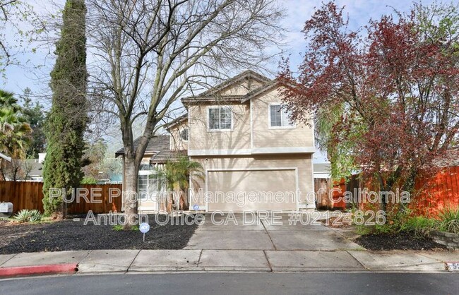 5336 Sandrose Ct in Antioch, CA - Foto de edificio - Building Photo