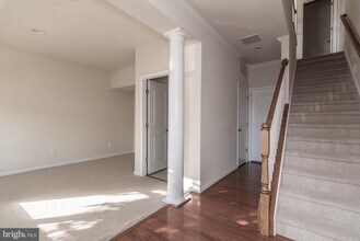 25514 Feltre Terrace in Chantilly, VA - Building Photo - Building Photo