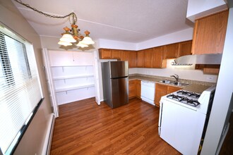 7335 Tiffany Dr in Orland Park, IL - Building Photo - Building Photo