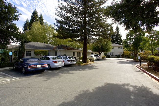 Sycamore Glen in Morgan Hill, CA - Foto de edificio - Building Photo