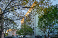 Royal Poinciana in Brooklyn, NY - Foto de edificio - Building Photo