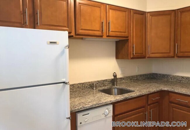 59 Parkman St in Brookline, MA - Building Photo - Building Photo