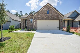 28820 Bobcat Run Dr in New Caney, TX - Building Photo