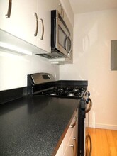 107 E Brookline St, Unit 2 in Boston, MA - Building Photo - Building Photo