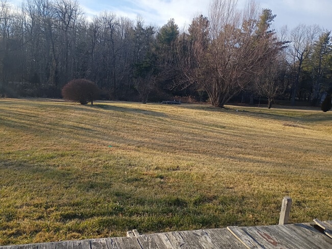 112 Norris Ave SE in Copper Hill, VA - Building Photo - Building Photo