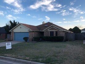 10629 Holly Grove Dr in Fort Worth, TX - Building Photo