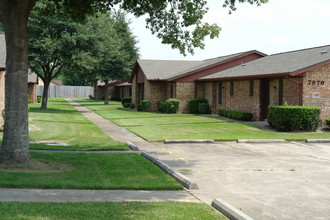 Briarwood Green Townhomes in Beaumont, TX - Building Photo - Building Photo