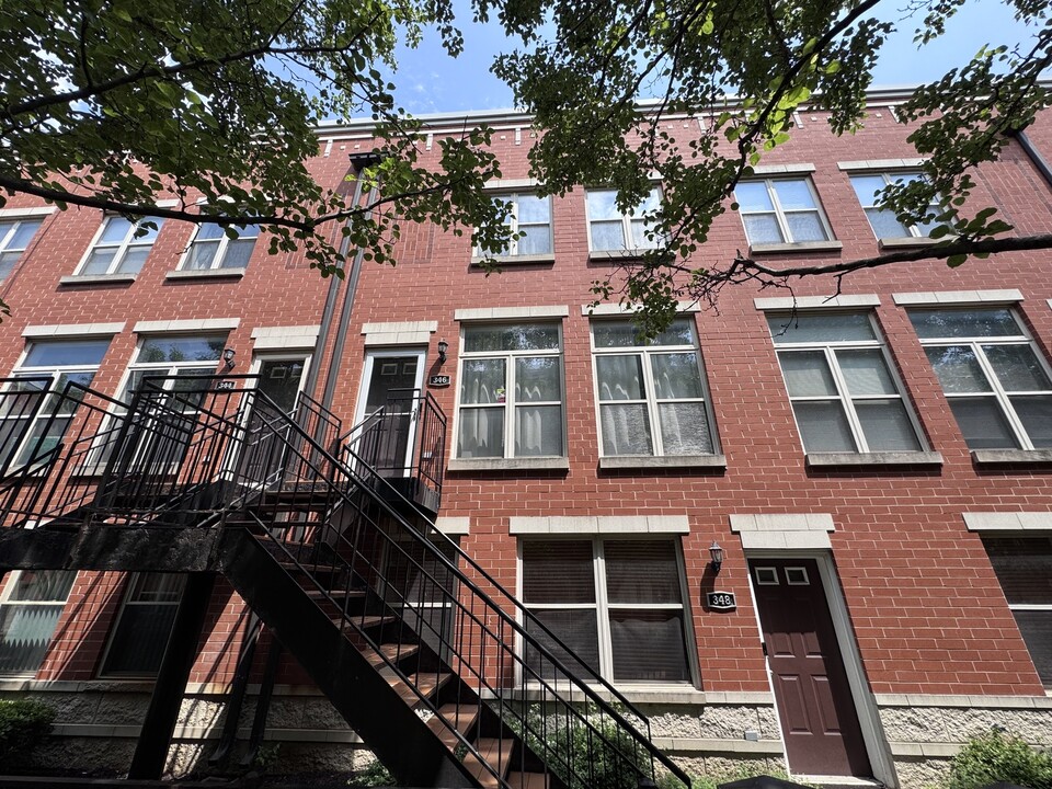 346 E 25th Pl in Chicago, IL - Building Photo
