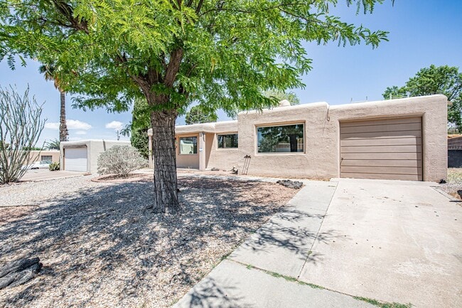 property at 2005 Snow Dr