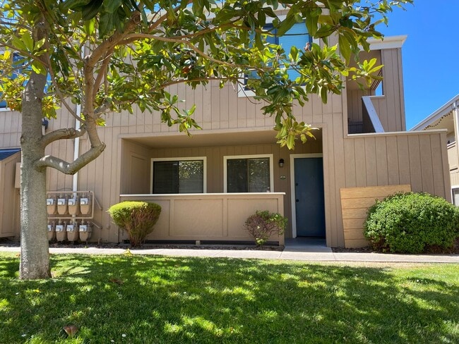 property at 820 Casanova Ave