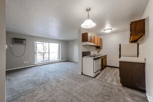 1111 Independence Ave, Unit 106 in Akron, OH - Building Photo